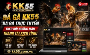 Trận nổi bật KK55 Trận đá gà nổi bật KK55