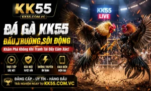 Tỷ lệ đá gà KK55 Khu vực tỷ lệ đá gà KK55