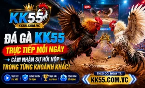 Xem live KK55 Trải nghiệm xem live đá gà KK55
